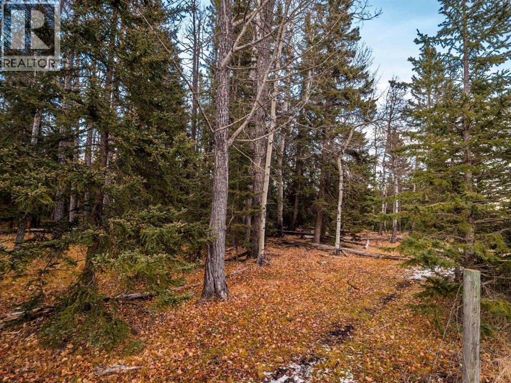 Water Valley Twp Rd 294a, Rural Mountain View County, Alberta  T0M 2E0 - Photo 19 - A2272102