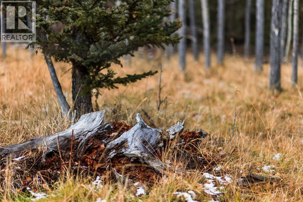Water Valley Twp Rd 294a, Rural Mountain View County, Alberta  T0M 2E0 - Photo 18 - A2272102