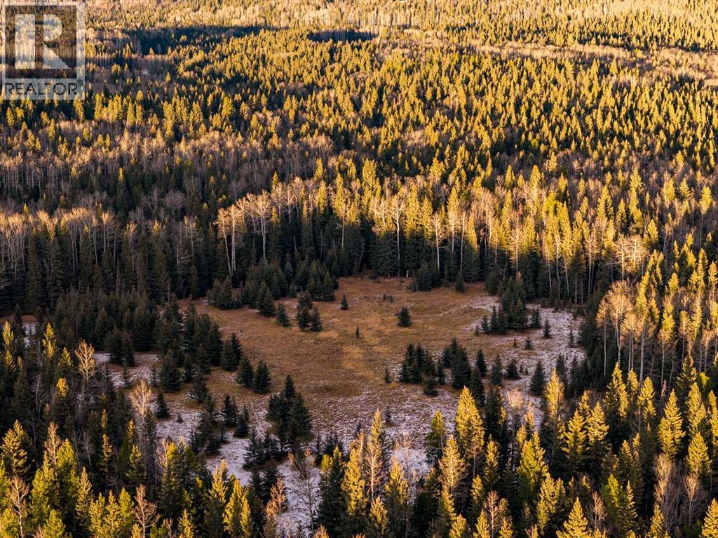 Water Valley Twp Rd 294a, Rural Mountain View County, Alberta  T0M 2E0 - Photo 4 - A2272102