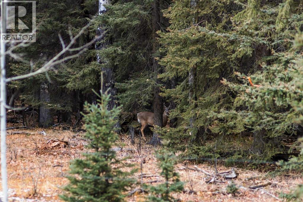 Water Valley Twp Rd 294a, Rural Mountain View County, Alberta  T0M 2E0 - Photo 16 - A2272102
