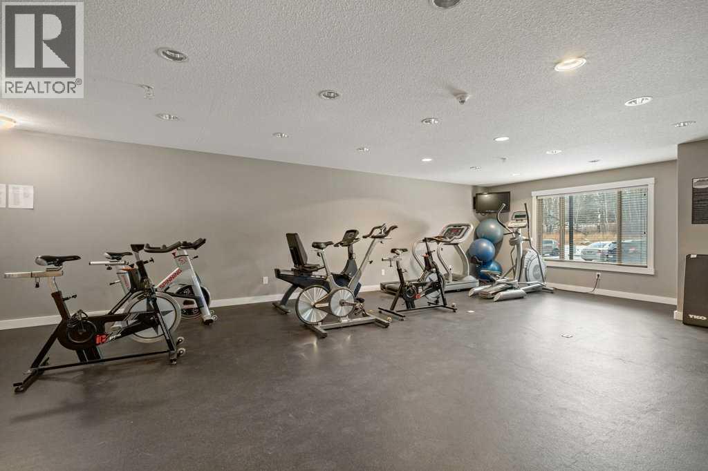 323, 300 Palliser Lane, Canmore, Alberta  T1W 0H5 - Photo 40 - A2270975