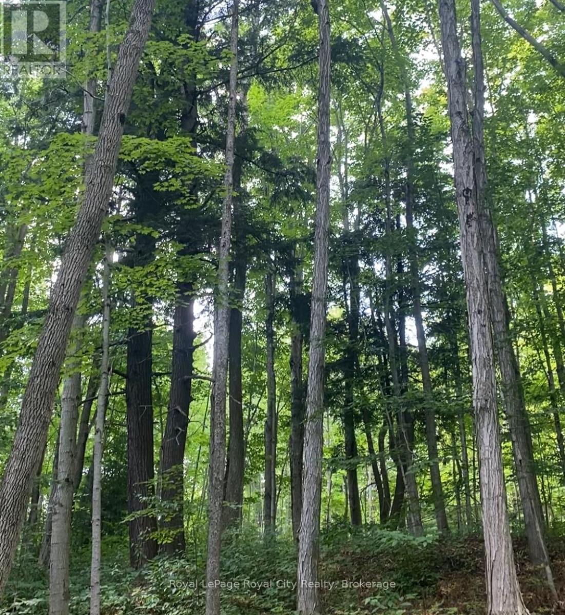 6127 First Line, Erin, Ontario  L0N 1N0 - Photo 14 - X12492442