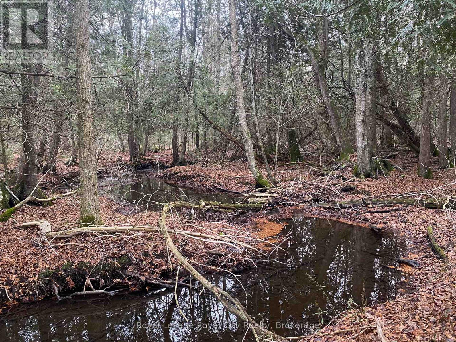 6127 First Line, Erin, Ontario  L0N 1N0 - Photo 15 - X12492442