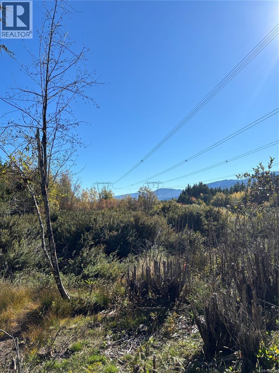 720 Spider Lake Rd, Qualicum Beach, British Columbia  V9K 2L7 - Photo 8 - 1018121