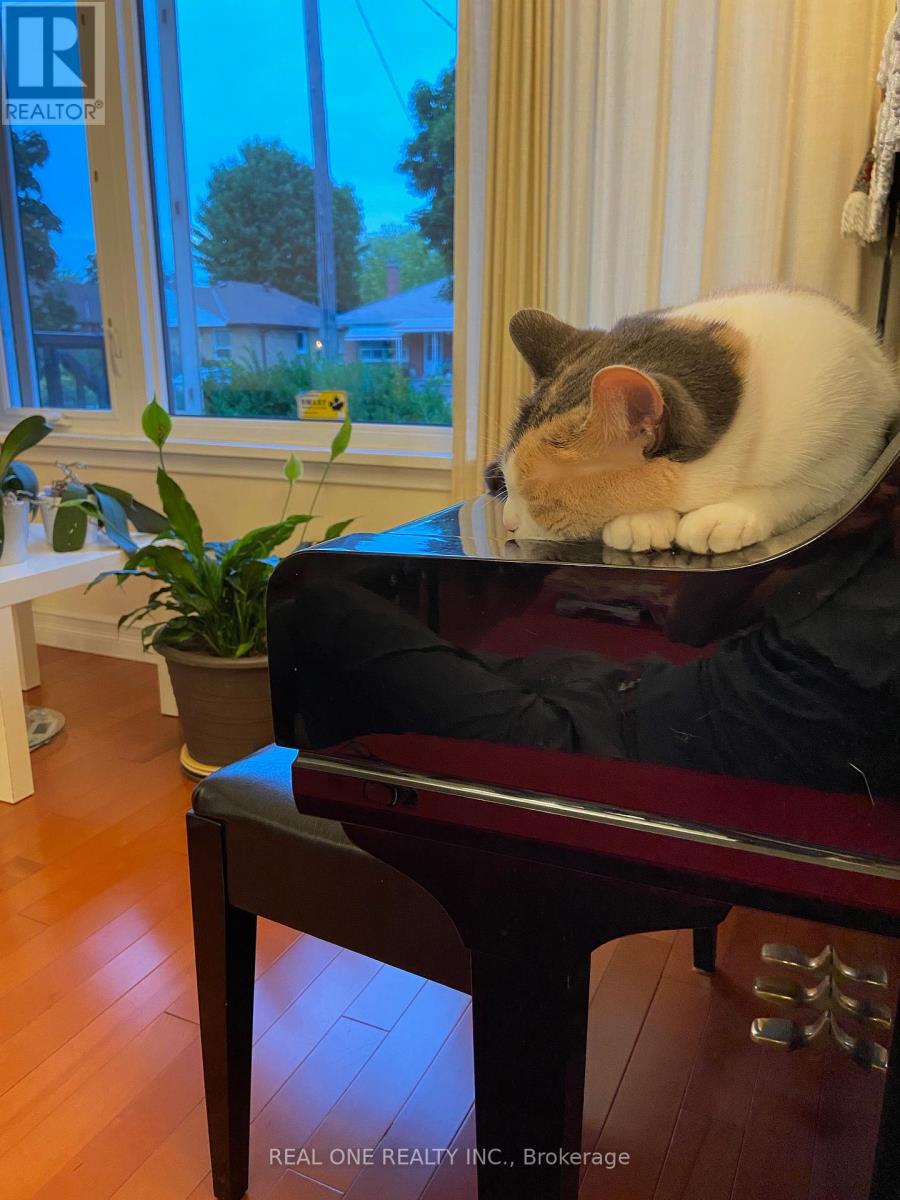 Uper Level - 22 Princeway Drive, Toronto, Ontario  M1R 2V9 - Photo 3 - E12640086