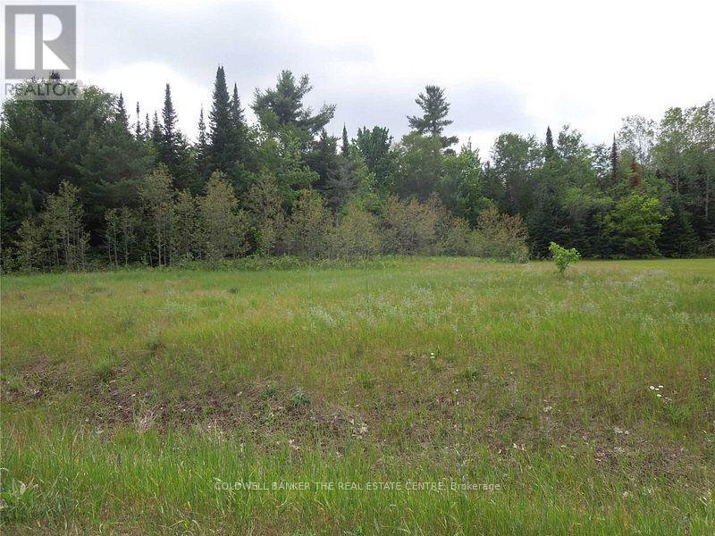 8 Tioga Boulevard, Adjala-Tosorontio, Ontario  L0M 1J0 - Photo 3 - N12160074