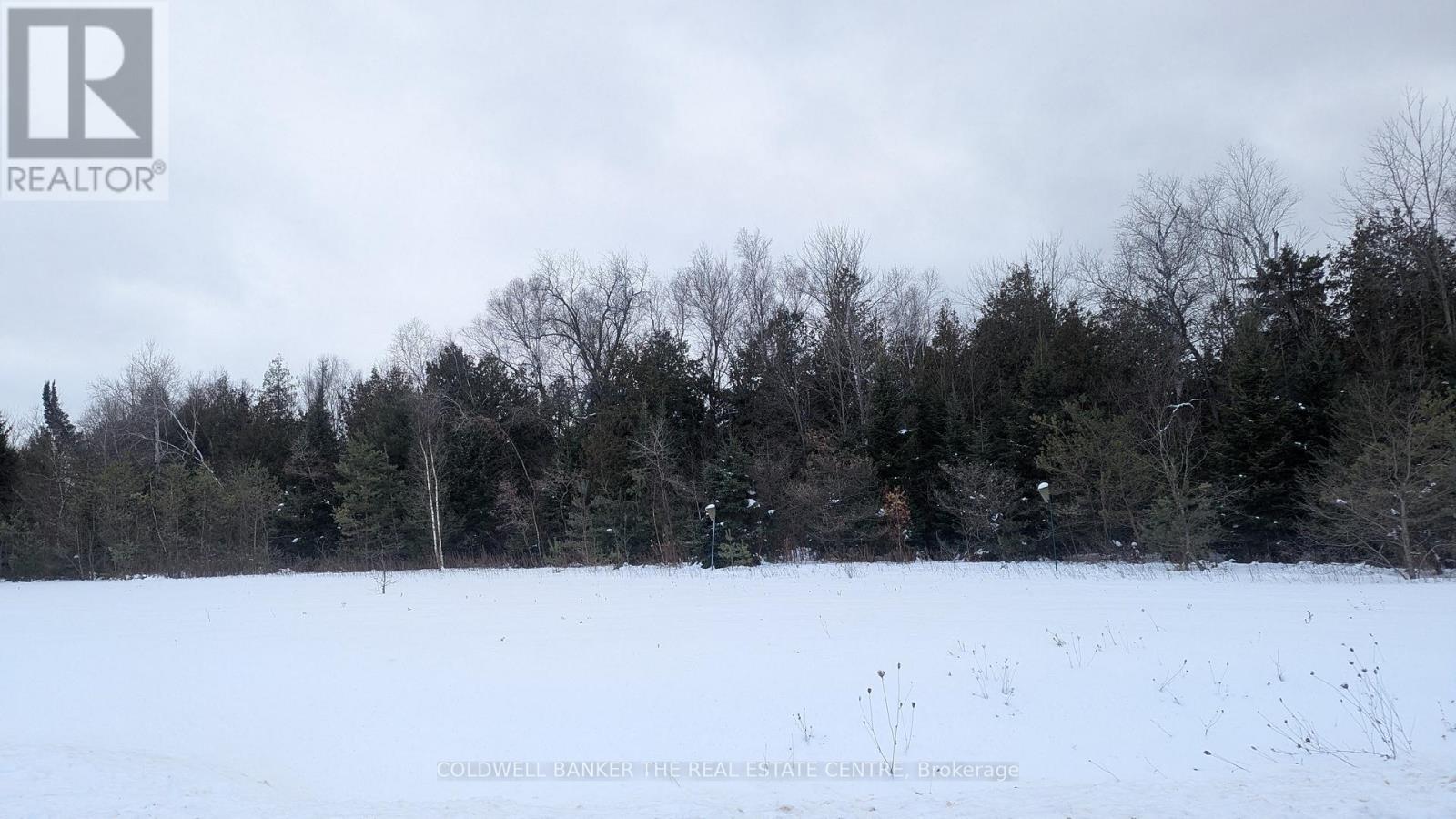 6 Tioga Boulevard, Adjala-Tosorontio, Ontario  L0M 1J0 - Photo 2 - N12167264