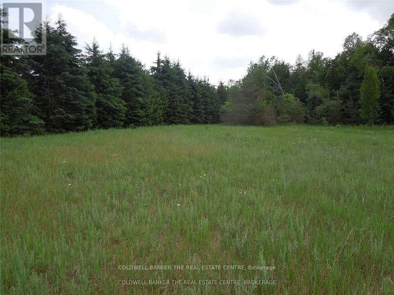 6 Tioga Boulevard, Adjala-Tosorontio, Ontario  L0M 1J0 - Photo 3 - N12167264