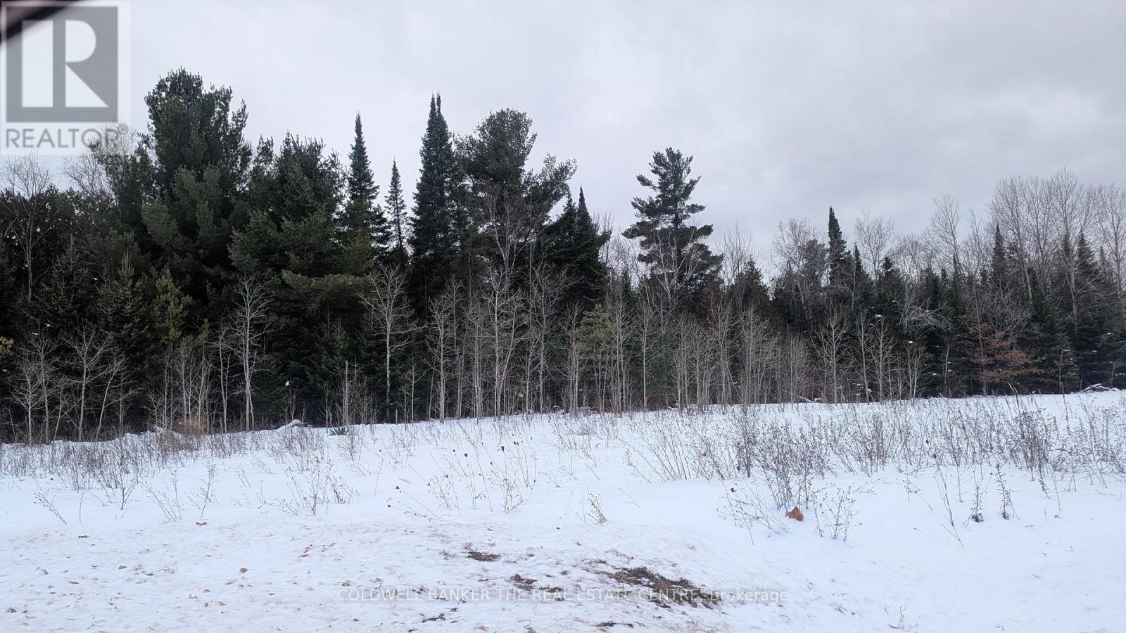 8 Tioga Boulevard, Adjala-Tosorontio, Ontario  L0M 1J0 - Photo 2 - N12160074