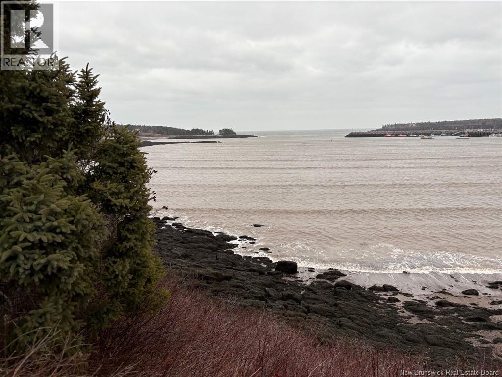 1480 Route 790, Dipper Harbour, New Brunswick  E5J 1W3 - Photo 1 - NB131332