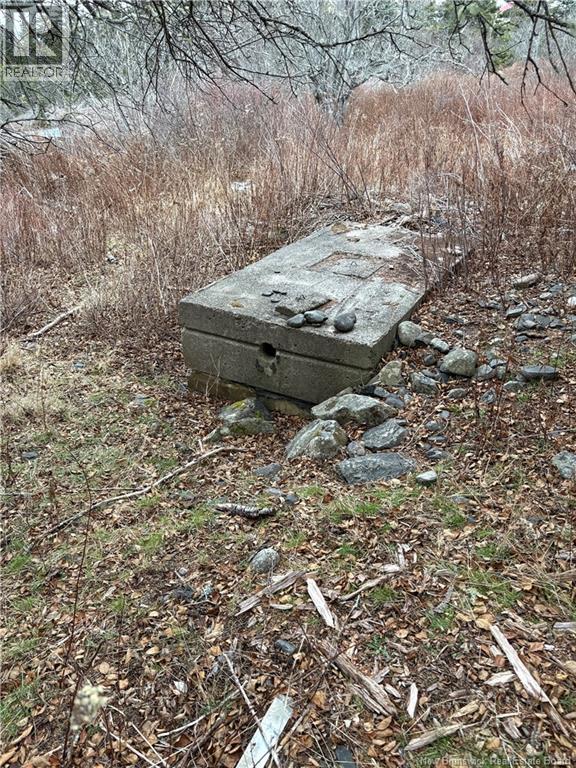 1480 Route 790, Dipper Harbour, New Brunswick  E5J 1W3 - Photo 5 - NB131332
