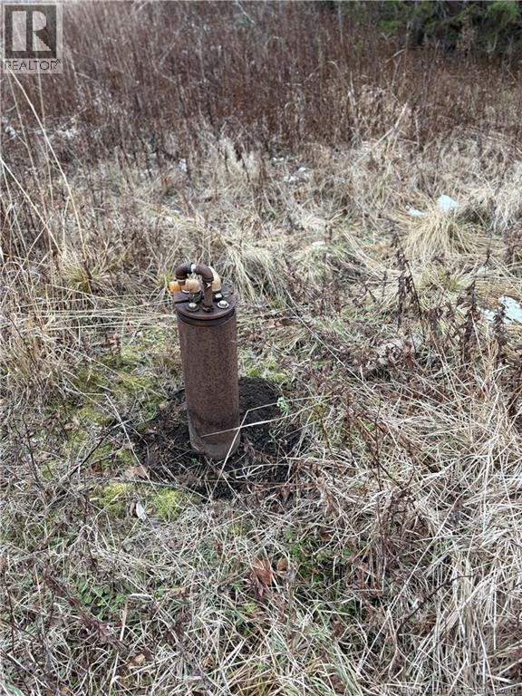 1480 Route 790, Dipper Harbour, New Brunswick  E5J 1W3 - Photo 6 - NB131332
