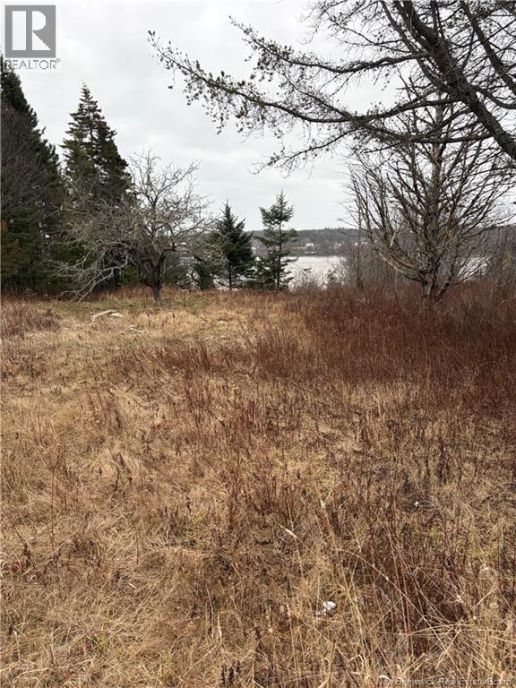 1480 Route 790, Dipper Harbour, New Brunswick  E5J 1W3 - Photo 7 - NB131332