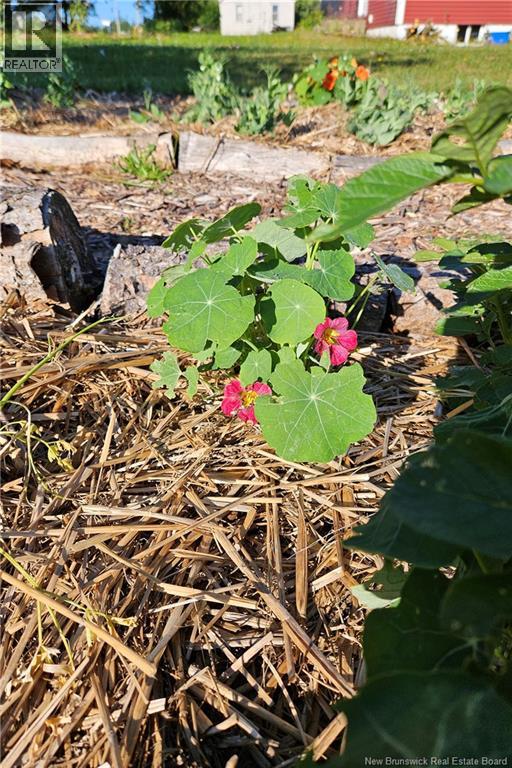 26 Brooklyn Road, Midgic, New Brunswick  E4L 1V7 - Photo 36 - NB131362