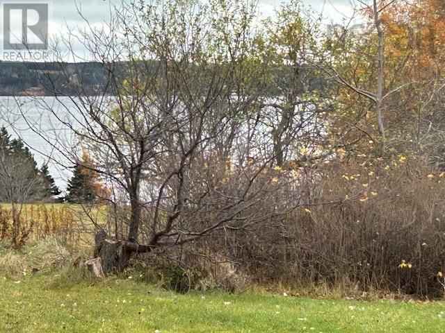 8903 Pepperell Street, St. Peter's, Nova Scotia B0E 3B0 - Photo 7 - 202527753