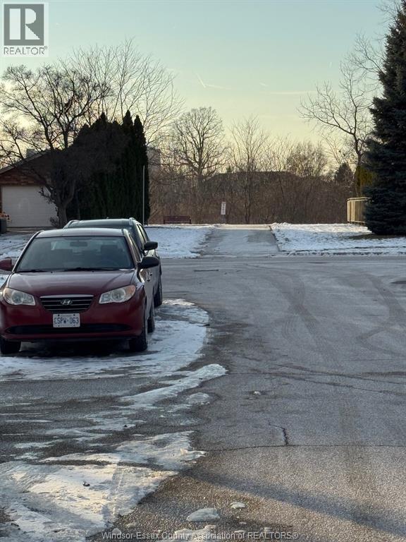 11833 Savanna Street, Windsor, Ontario N8P 1P2 - Photo 10 - 25031808