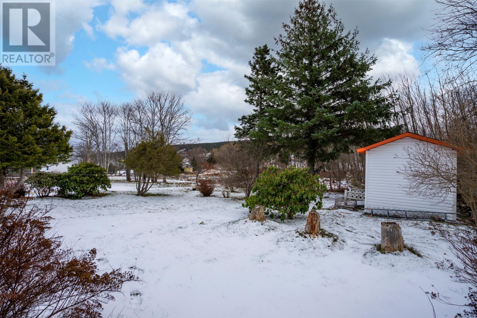 5 Butt's Avenue, Carbonear, Newfoundland & Labrador  A1Y 1A3 - Photo 40 - 1293342