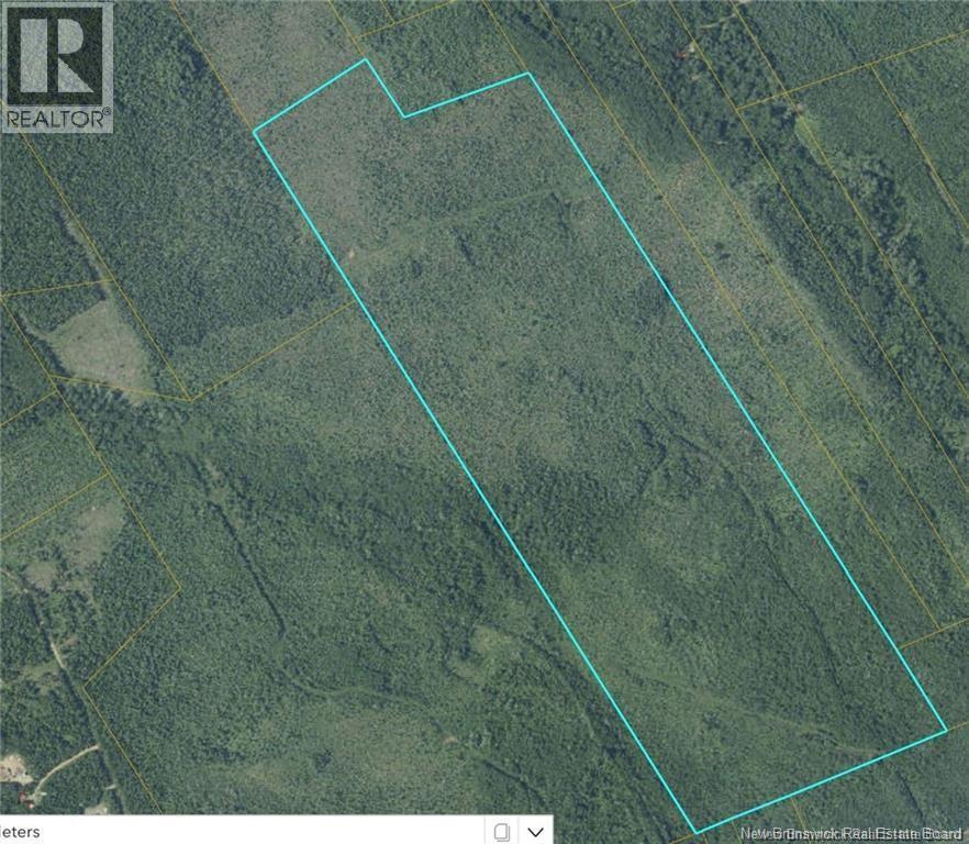 129 Acres 340 Route, Canobie, New Brunswick  E2A 5E7 - Photo 1 - NB131363
