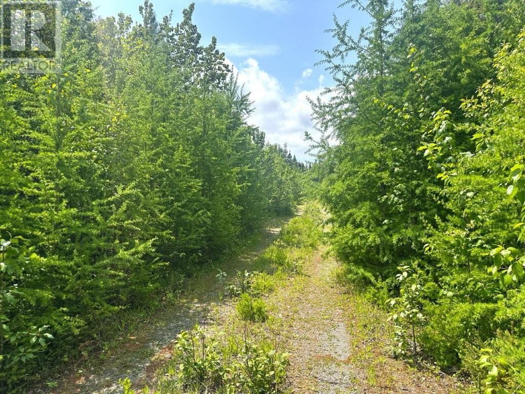 2999 Alice Ave, Thunder Bay, Ontario  P7G 1X4 - Photo 25 - TB253674