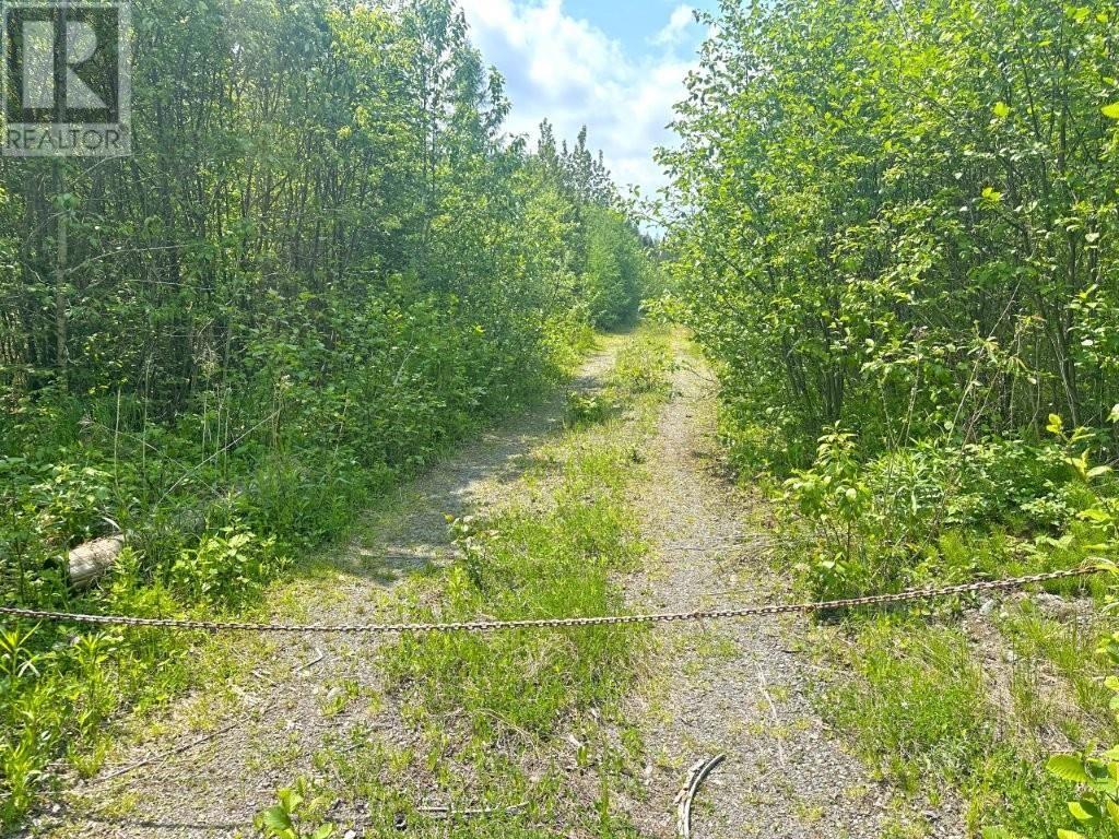 2999 Alice Ave, Thunder Bay, Ontario  P7G 1X4 - Photo 27 - TB253674