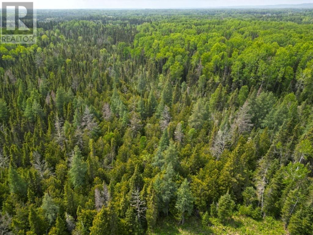 2999 Alice Ave, Thunder Bay, Ontario  P7G 1X4 - Photo 6 - TB253674