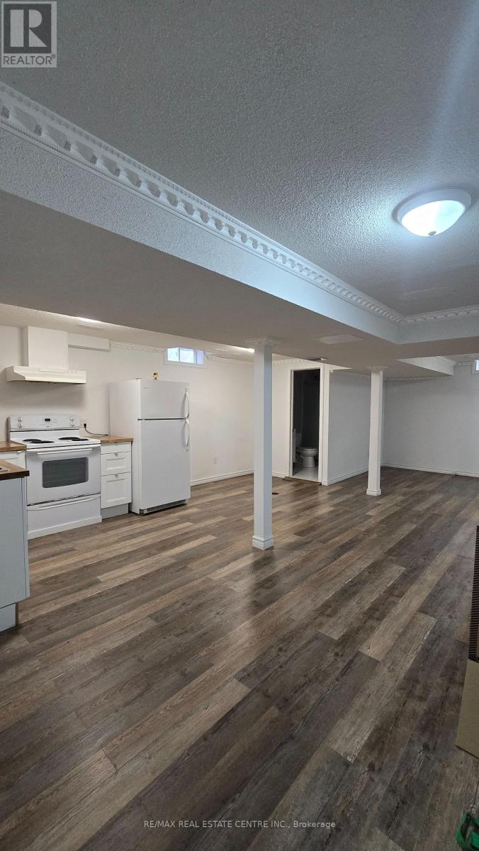 Basement - 524 Hayward Crescent, Milton, Ontario  L9T 4P9 - Photo 2 - W12640456