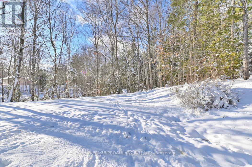 1023 Jewel Road, North Frontenac, Ontario  K0H 1K0 - Photo 39 - X12395009