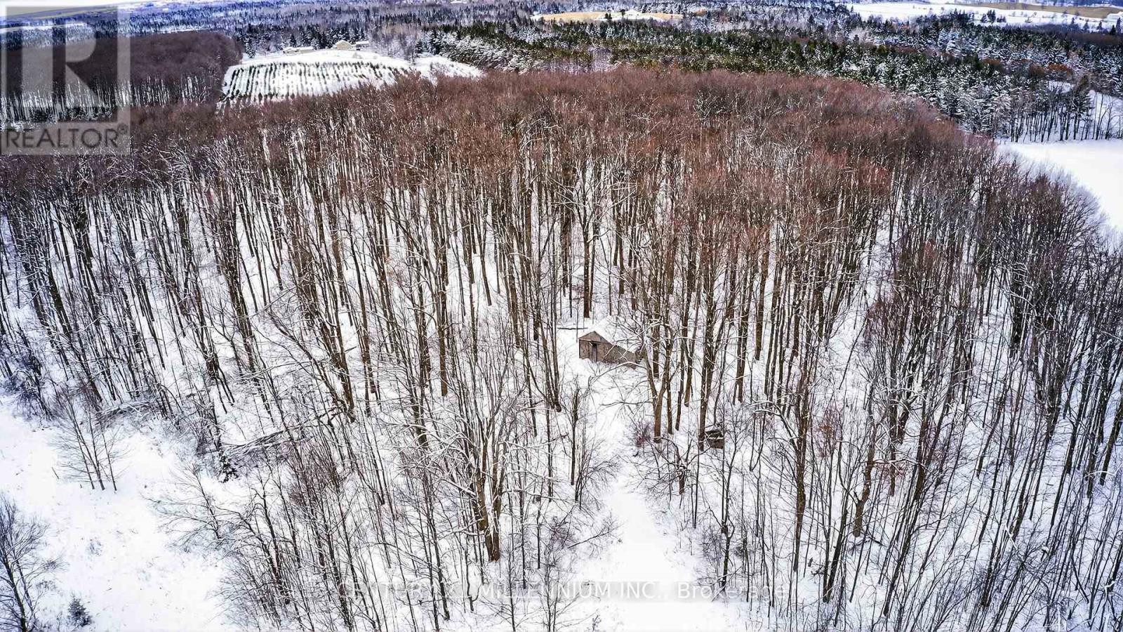 715188 1st Line E, Mono, Ontario  L9W 5T7 - Photo 16 - X12640464