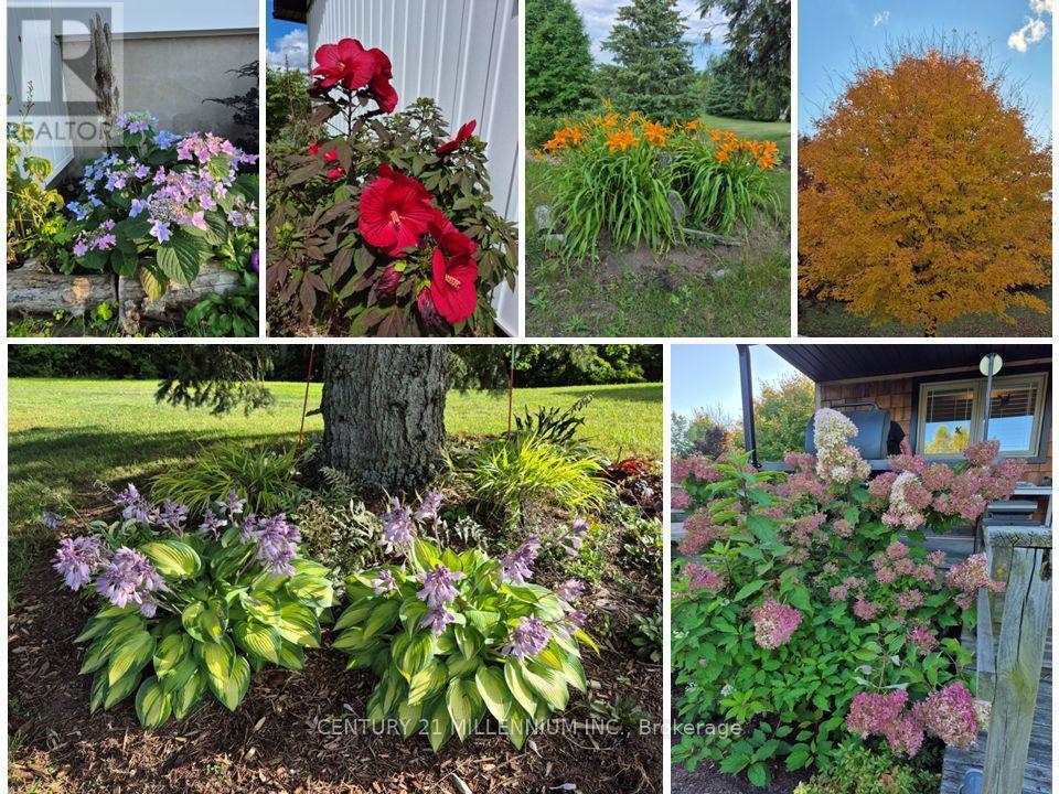 715188 1st Line E, Mono, Ontario  L9W 5T7 - Photo 17 - X12640464