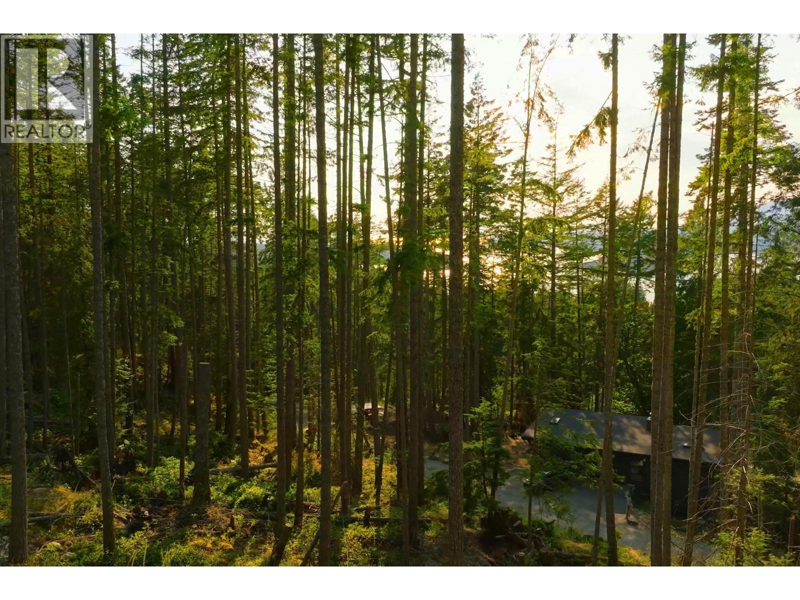 786 Hayes Road, Bowen Island, British Columbia  V0N 1G2 - Photo 6 - R3074402