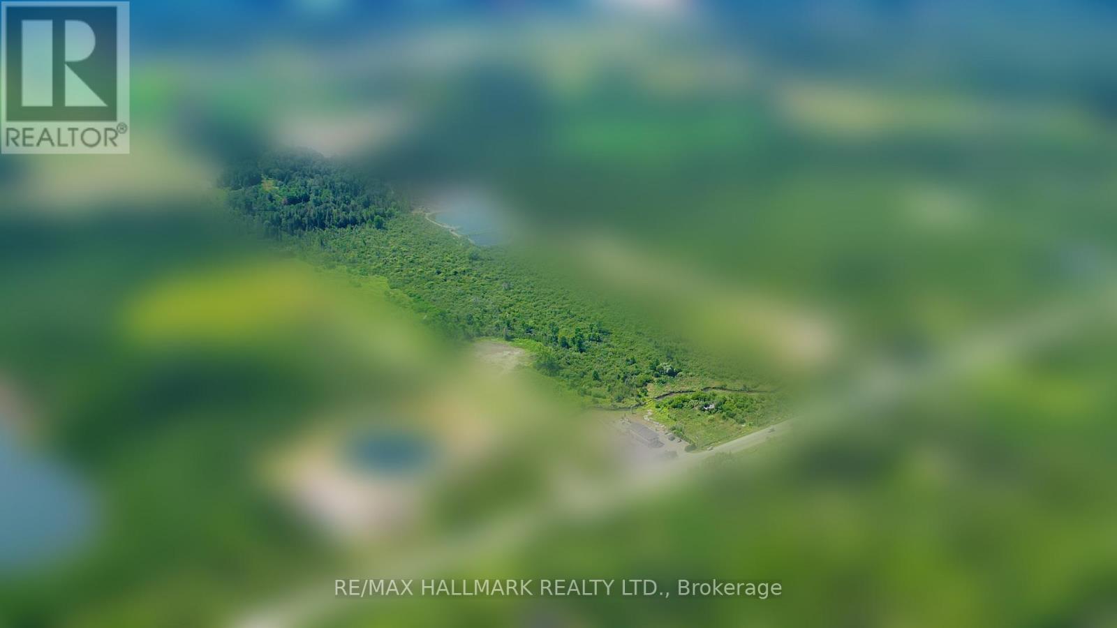 20200 48 Highway, East Gwillimbury, Ontario L0G 1M0 - Photo 6 - N12640588