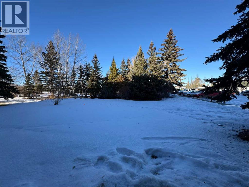 106, 6108 53 Street, Olds, Alberta  T4H 1X5 - Photo 20 - A2274931