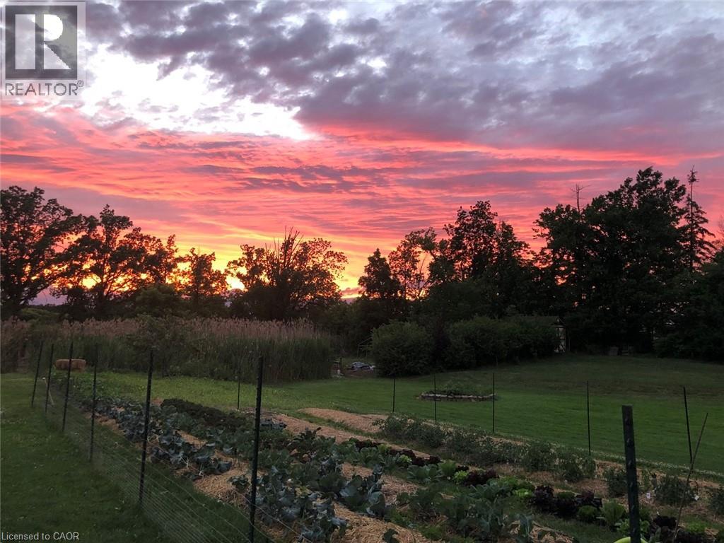 3350 Highway 56, Binbrook, Ontario  L0R 1C0 - Photo 48 - 40791668