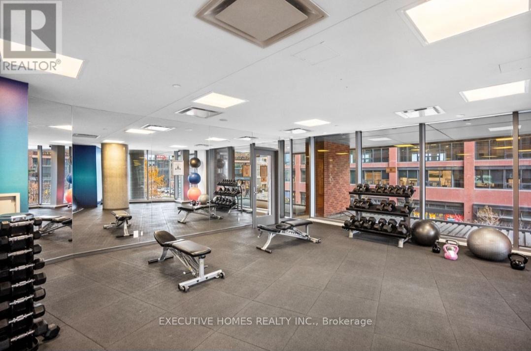 150 East Liberty Street, Toronto (Niagara), Ontario  M6K 3R5 - Photo 6 - C12640674