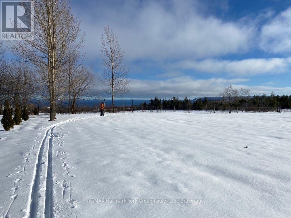 125 Mountain Road, Meaford, Ontario N4L 1W6 - Photo 5 - X12640760