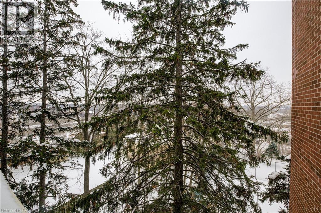 260 Sheldon Avenue N Unit# 507, Kitchener, Ontario  N2H 6P2 - Photo 21 - 40794320