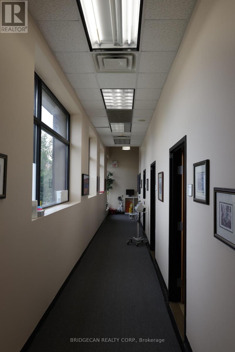 347 Colborne Street, Brantford, Ontario  N3S 3N2 - Photo 12 - X12634888