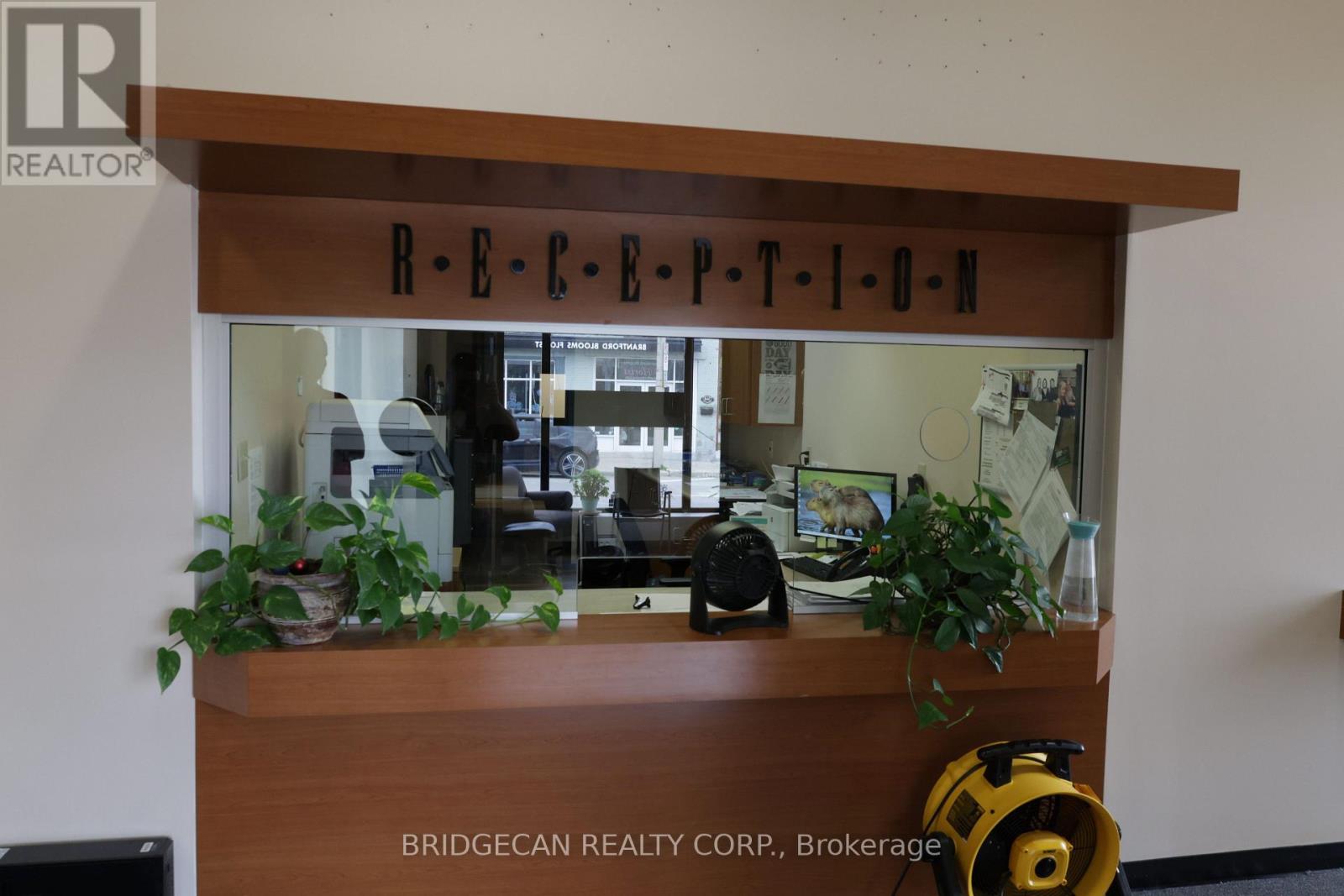 347 Colborne Street, Brantford, Ontario  N3S 3N2 - Photo 14 - X12634888