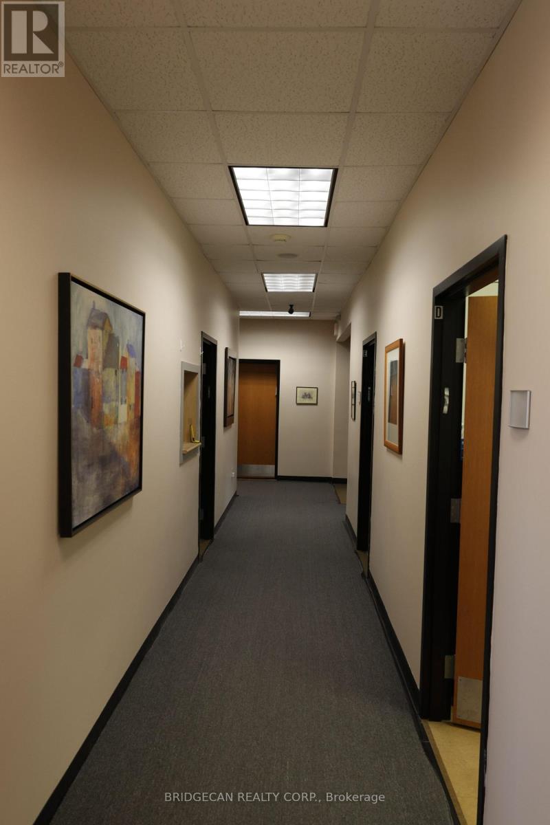 347 Colborne Street, Brantford, Ontario  N3S 3N2 - Photo 13 - X12634888