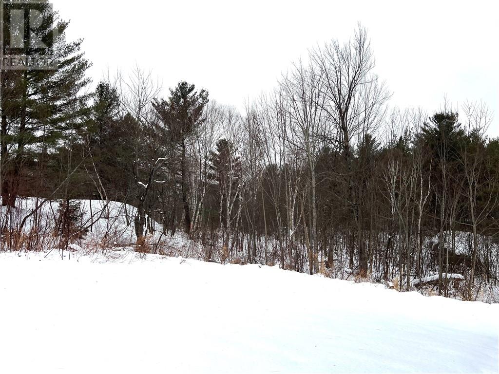 11 Chevrefils, St. Charles, Ontario  P0M 2W0 - Photo 27 - 2125754