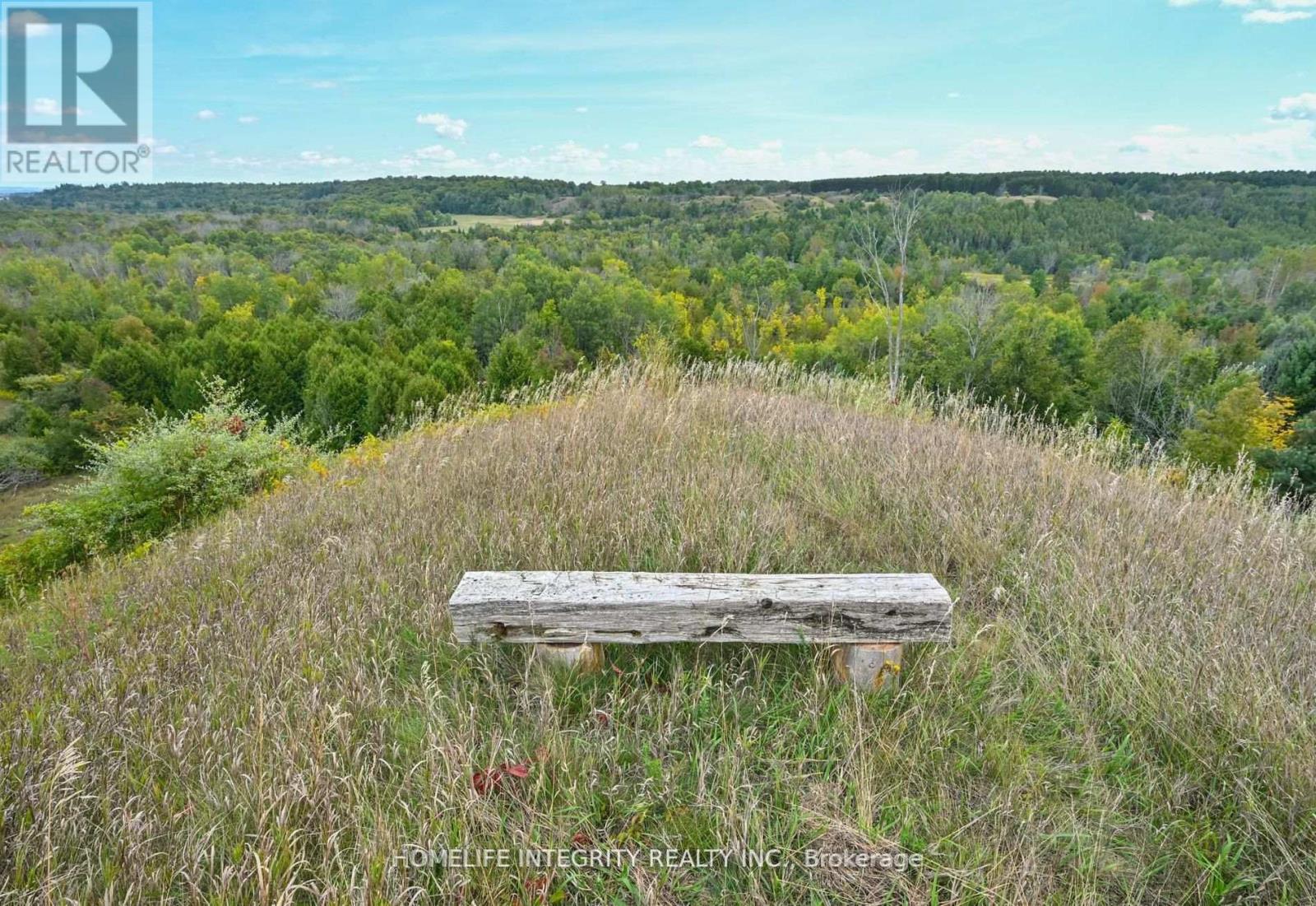 995305 Mono Adjala Townline, Adjala-Tosorontio, Ontario  L9R 1V1 - Photo 36 - N12640846