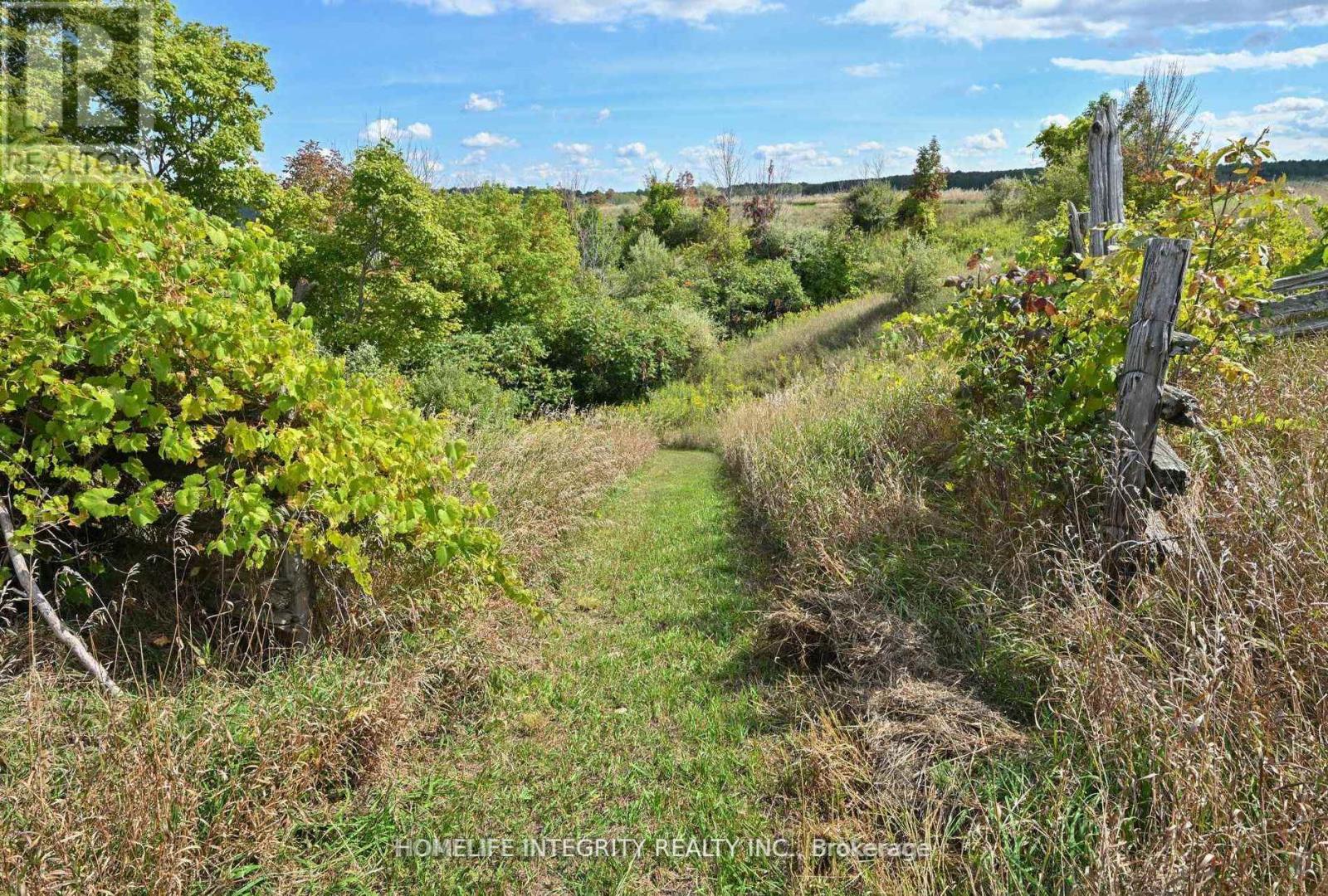 995305 Mono Adjala Townline, Adjala-Tosorontio, Ontario  L9R 1V1 - Photo 37 - N12640846