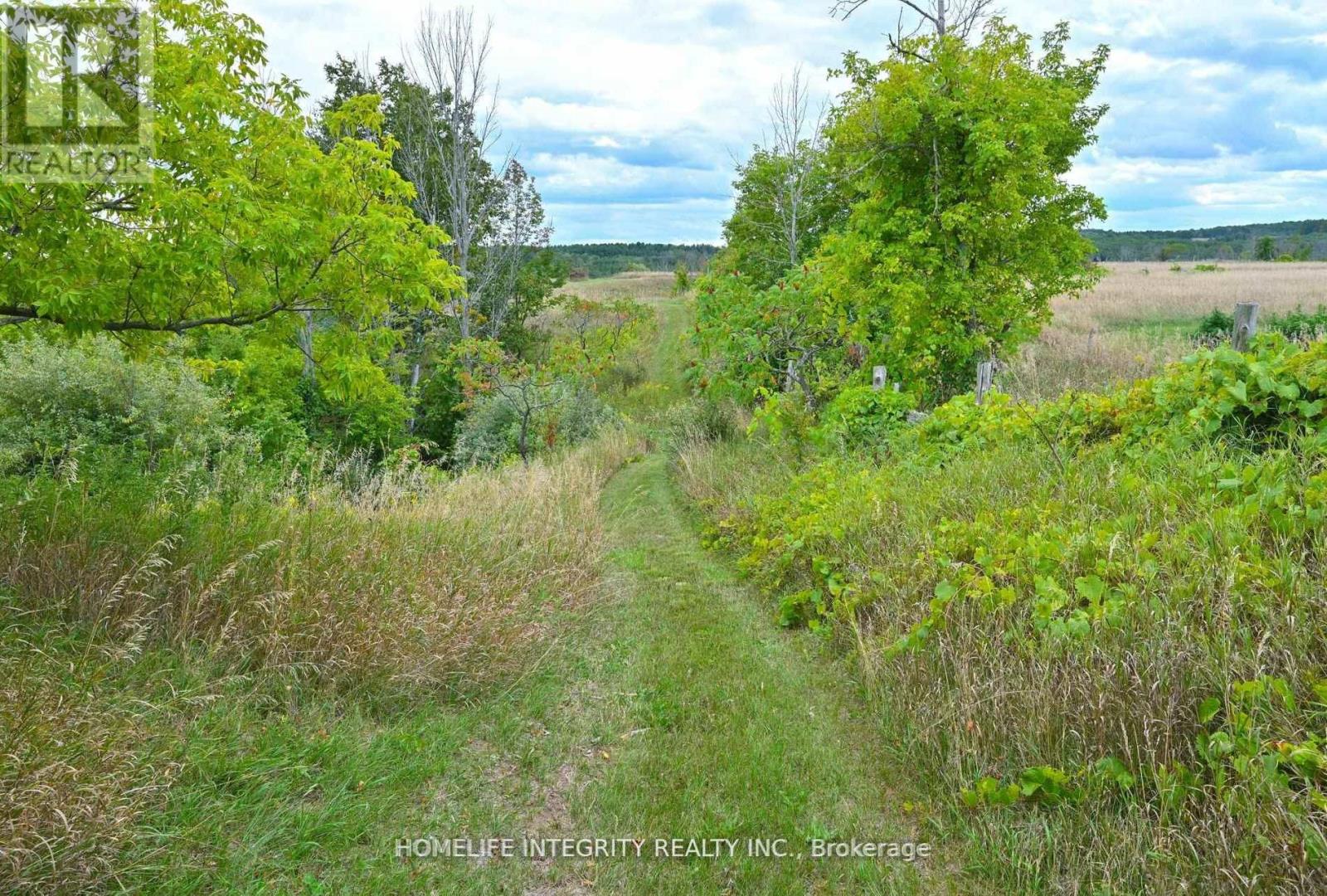 995305 Mono Adjala Townline, Adjala-Tosorontio, Ontario  L9R 1V1 - Photo 40 - N12640846