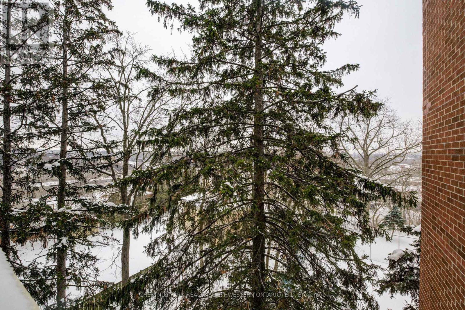 507 - 260 Sheldon Avenue N, Kitchener, Ontario  N2H 6P2 - Photo 20 - X12640994