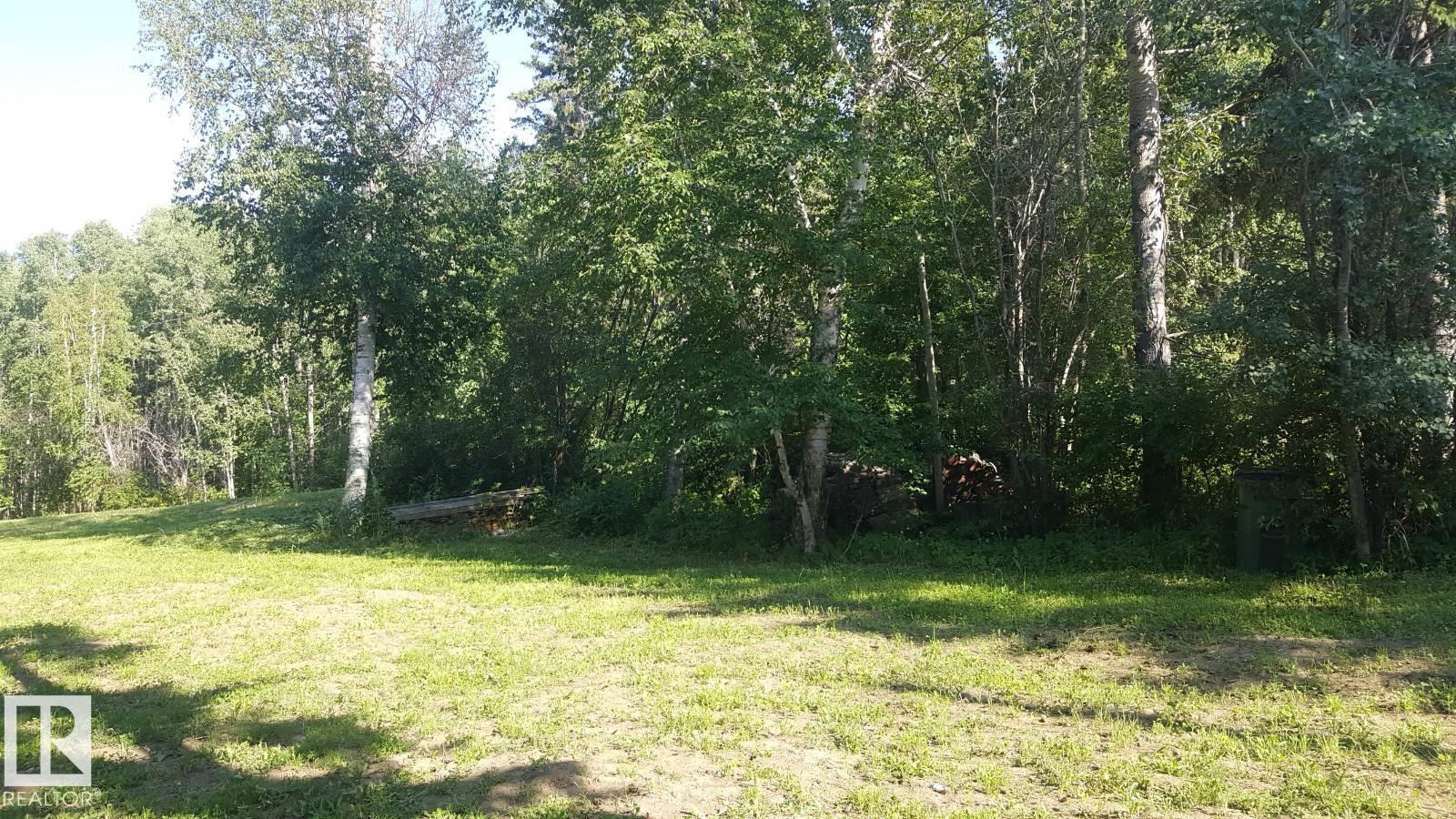 26 Pine Cr, Rural Parkland County, Alberta  T0E 0L0 - Photo 6 - E4468361