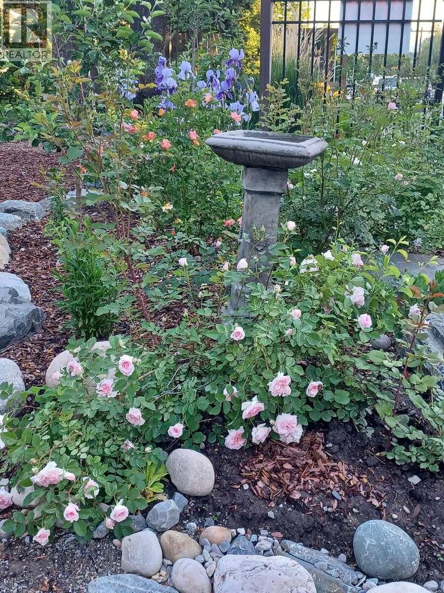 215 13th Avenue S, Cranbrook, British Columbia  V1C 2V7 - Photo 20 - 10371344