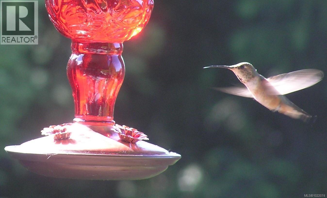 1860 Ashling Rd, Qualicum Beach, British Columbia  V9K 2V1 - Photo 87 - 1022074