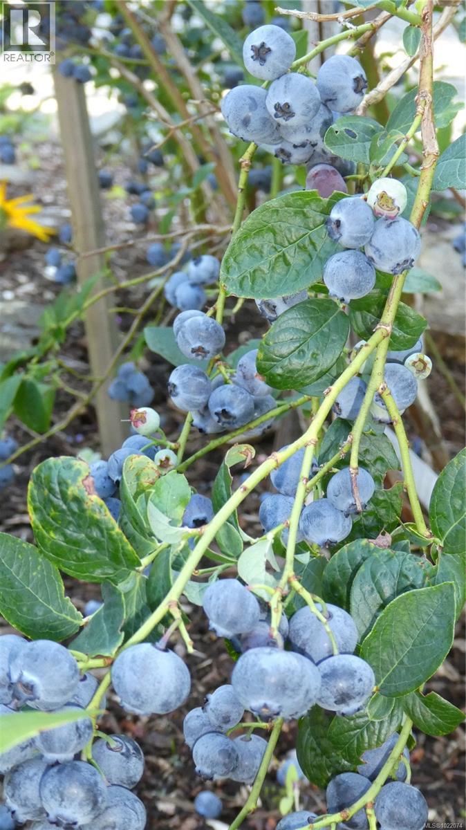 1860 Ashling Rd, Qualicum Beach, British Columbia  V9K 2V1 - Photo 92 - 1022074