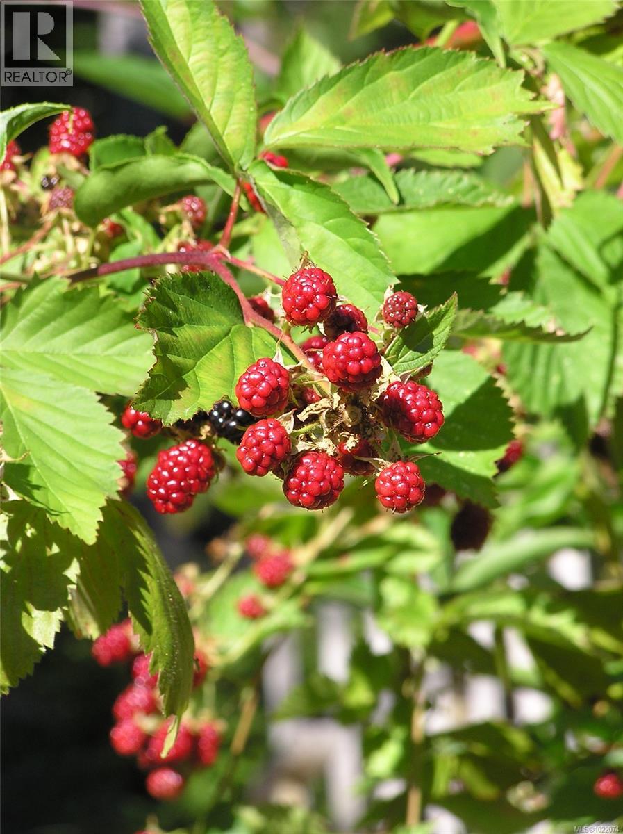 1860 Ashling Rd, Qualicum Beach, British Columbia  V9K 2V1 - Photo 90 - 1022074