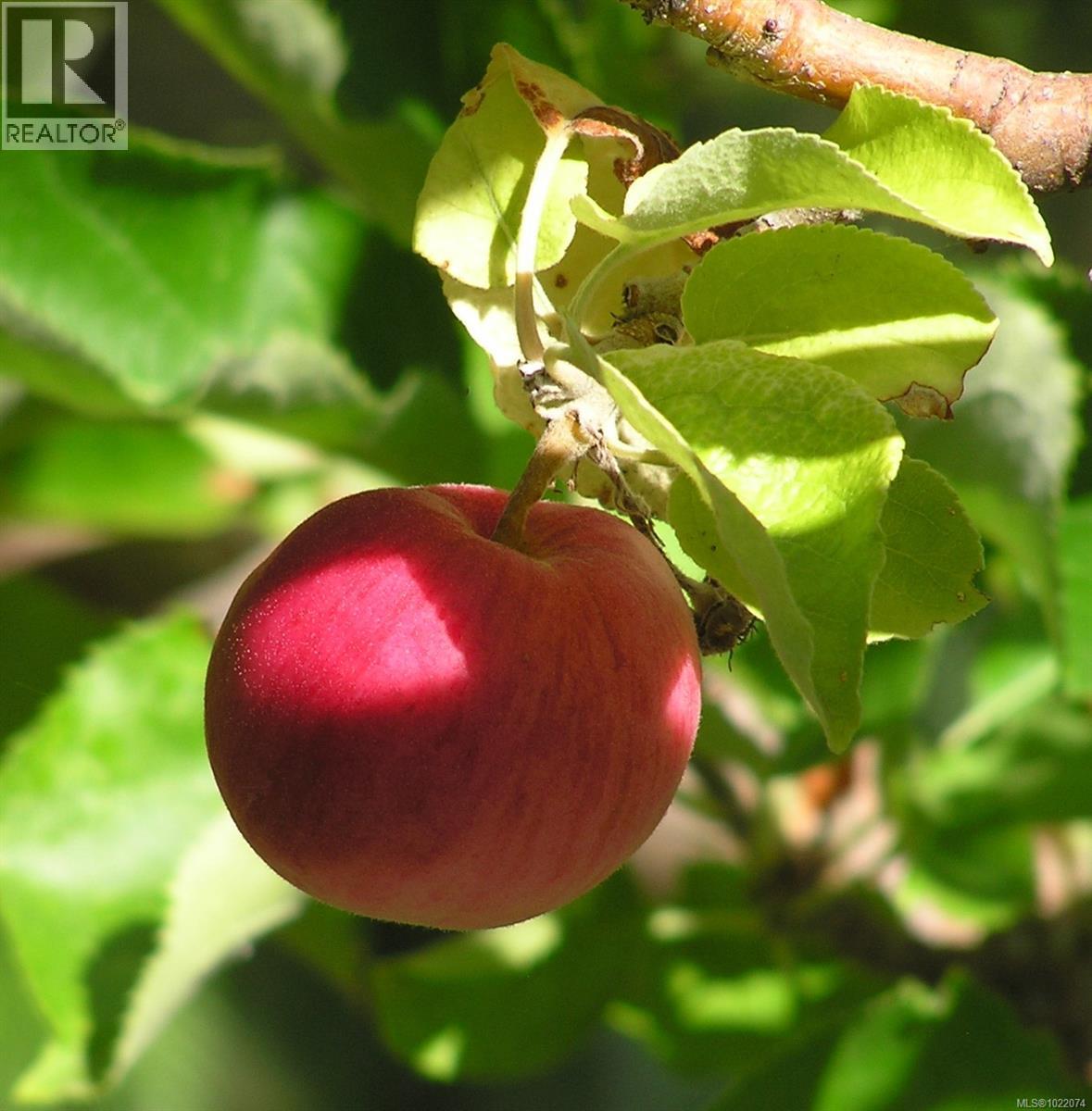 1860 Ashling Rd, Qualicum Beach, British Columbia  V9K 2V1 - Photo 89 - 1022074